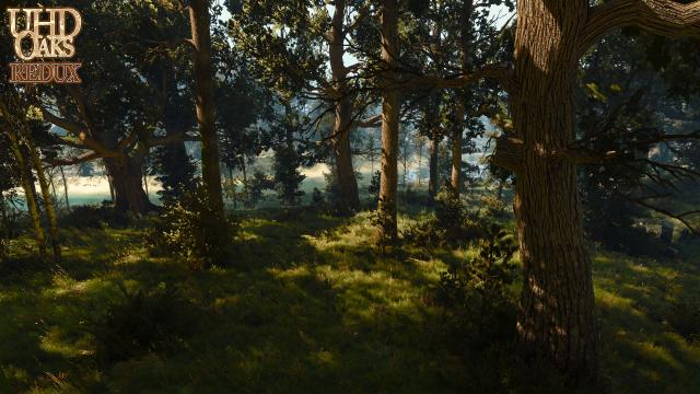 UHD Oaks Redux для The Witcher 3 Next Gen