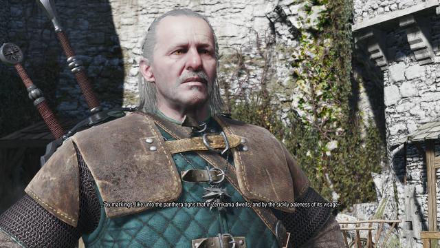 Vesemir Face Improvement for The Witcher 3 Next Gen
