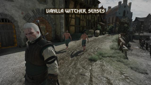 Minimalist Witcher Senses (Focus) для The Witcher 3 Next Gen