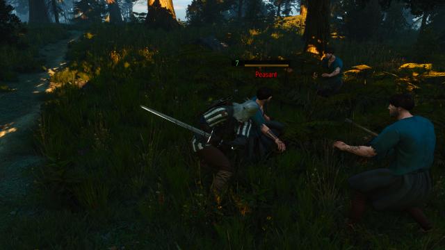 100 percent Finishers Chance - Finishers Everytime - NextGen for The Witcher 3 Next Gen