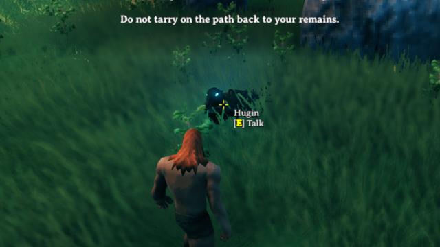 A Little Help for Valheim