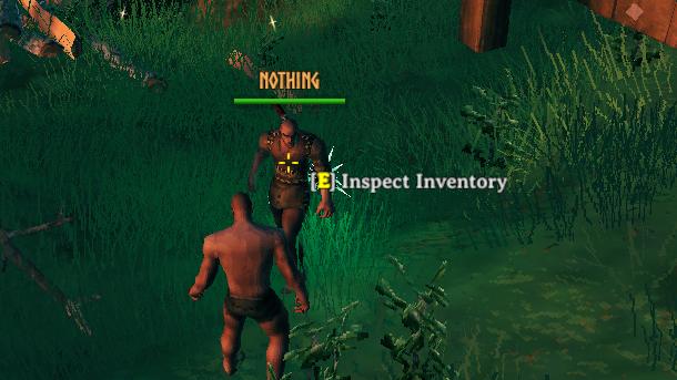 Осмотреть чужой инвентарь / Inspect Inventory для Valheim