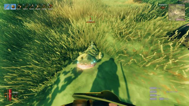 First Person View for Valheim