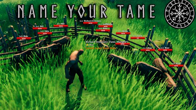 Name Your Tame